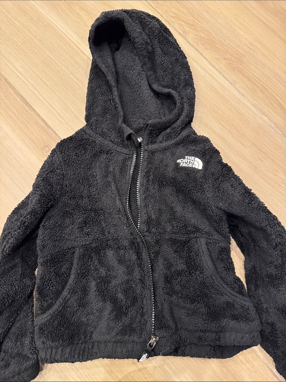 The North Face Kids Black Plush Sherpa Hoodie